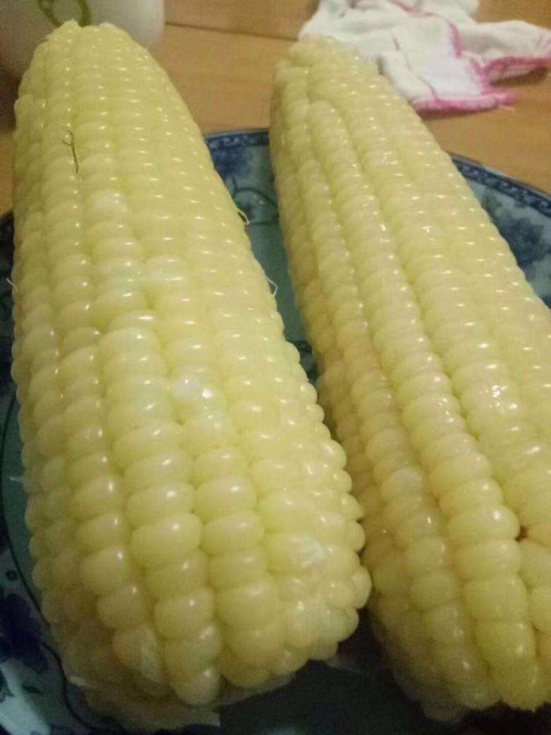 今年的最新上市的糯玉米🌽6月1号和孩子分享