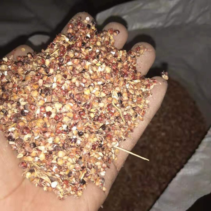 河北石家庄灵寿县批量销售高粱壳