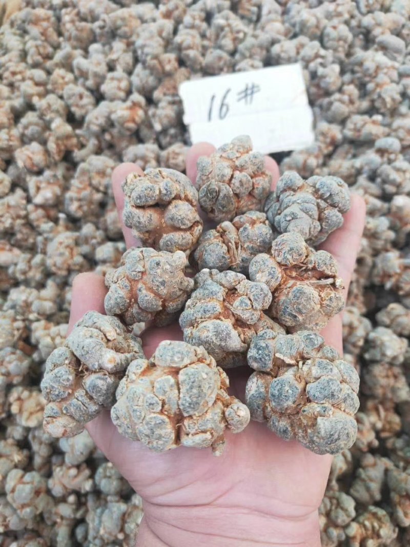 云南文山三七三七花产地现货文山三七包邮