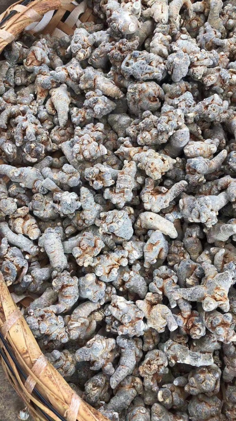 云南文山三七三七花产地现货文山三七包邮