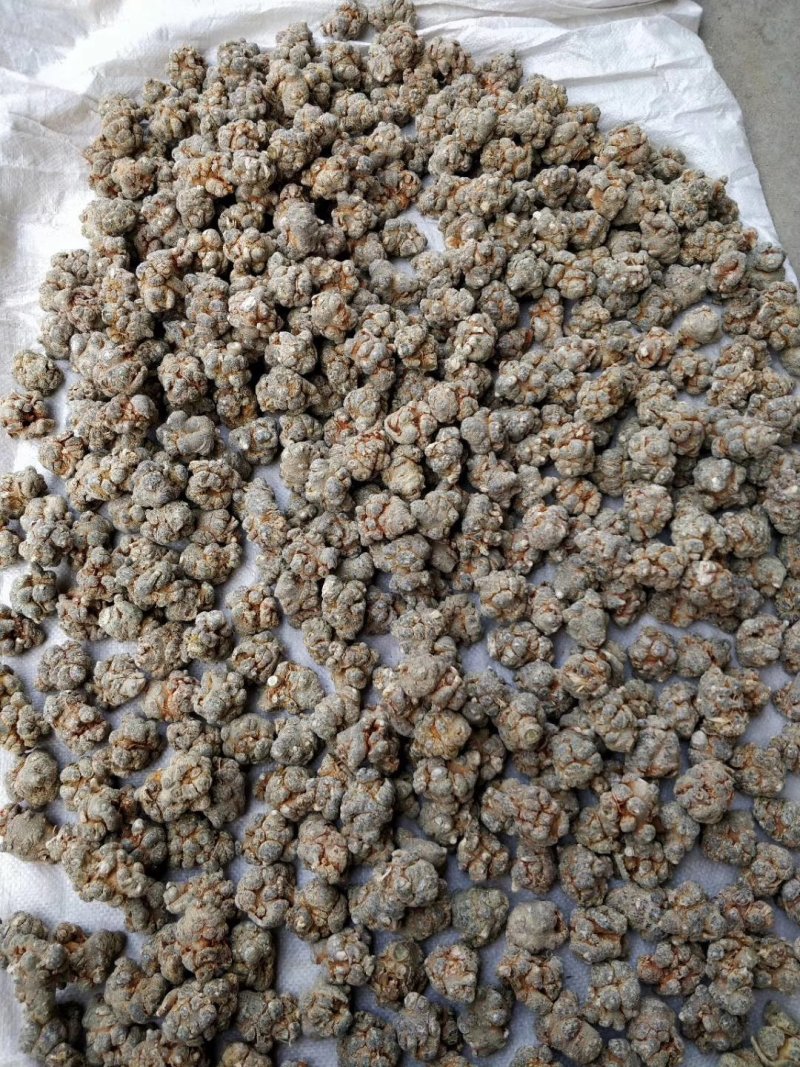 云南文山三七三七花产地现货文山三七包邮