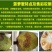 【支持一件代发】马来1号海南菠萝蜜脆甜爽口,水果店热卖款