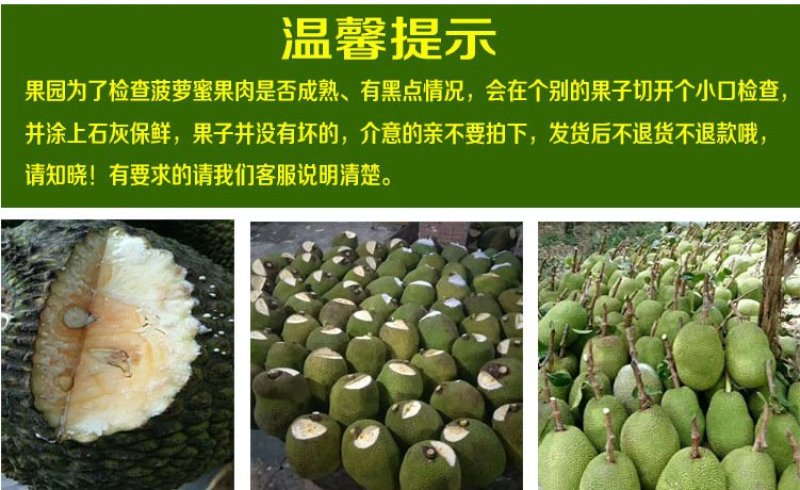 【支持一件代发】马来1号海南菠萝蜜脆甜爽口，水果店热卖款