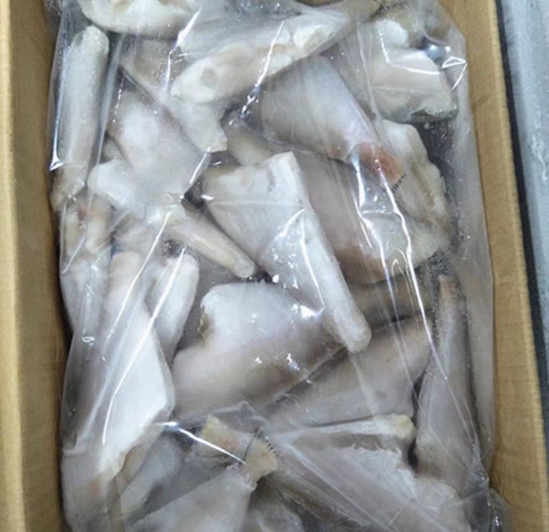 冷冻扒皮鱼中号马面鱼剥皮鱼小耗儿鱼毛重包冰9斤鲜活海鲜