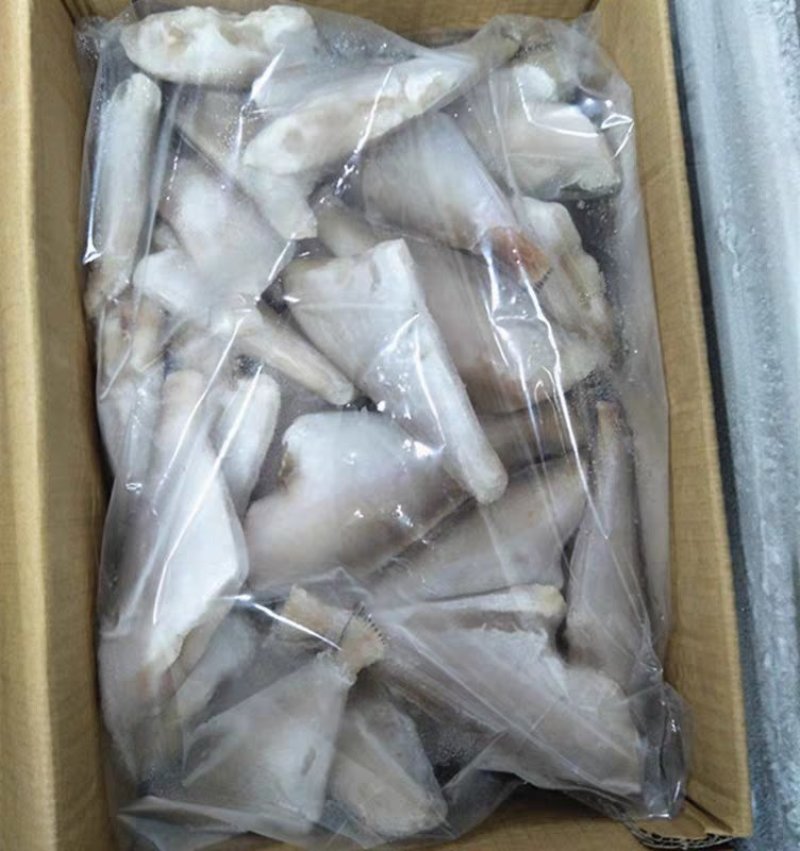 冷冻扒皮鱼中号马面鱼剥皮鱼小耗儿鱼毛重包冰9斤鲜活海鲜