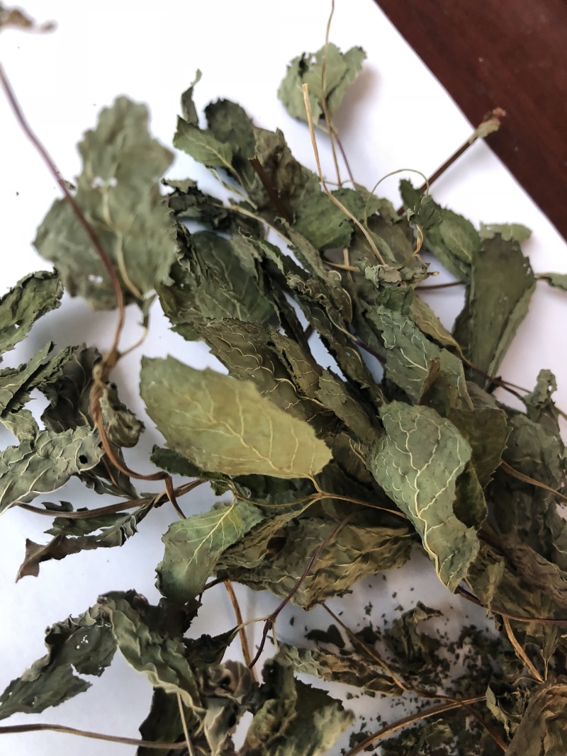 常年供应食品级薄荷叶干品