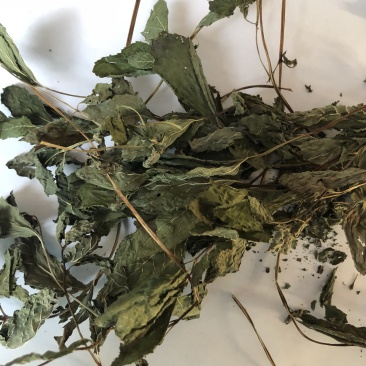 常年供应食品级薄荷叶干品
