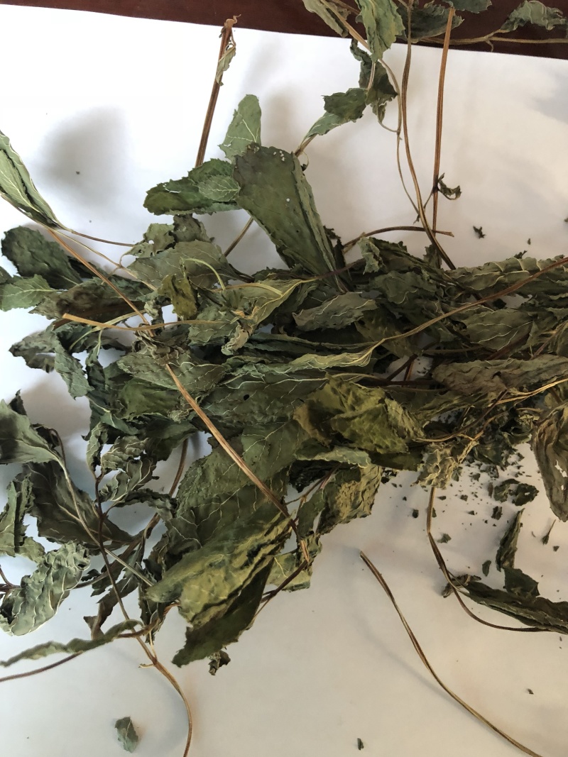 常年供应食品级薄荷叶干品