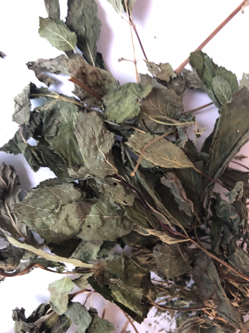 常年供应食品级薄荷叶干品