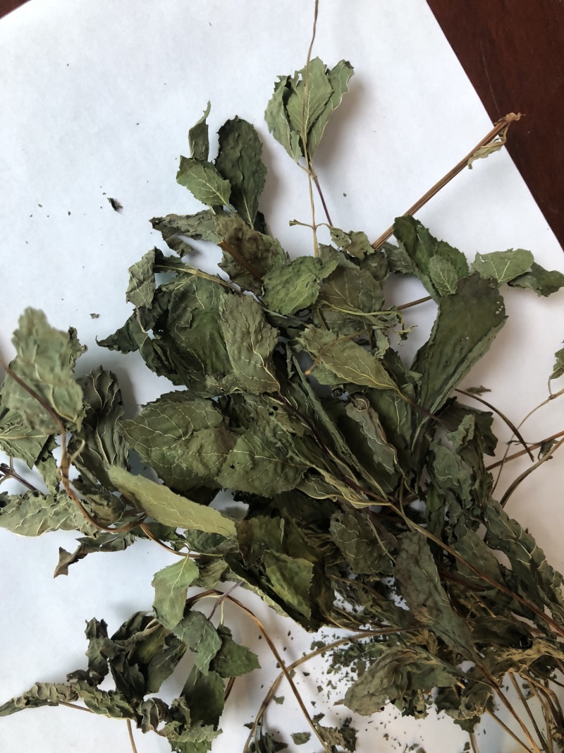 常年供应食品级薄荷叶干品