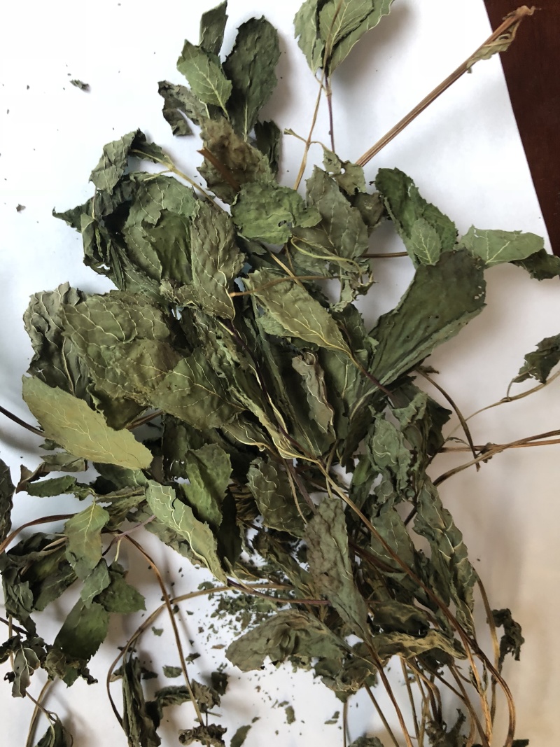 常年供应食品级薄荷叶干品