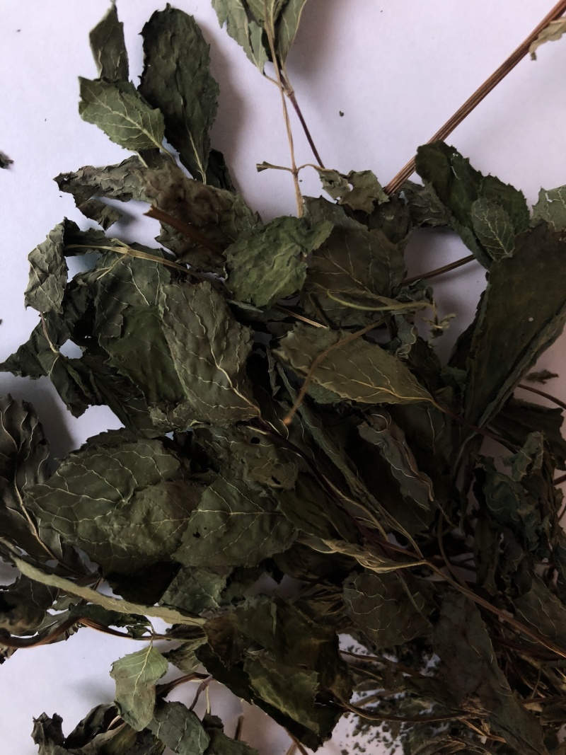 常年供应食品级薄荷叶干品