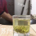 洞庭山碧螺春