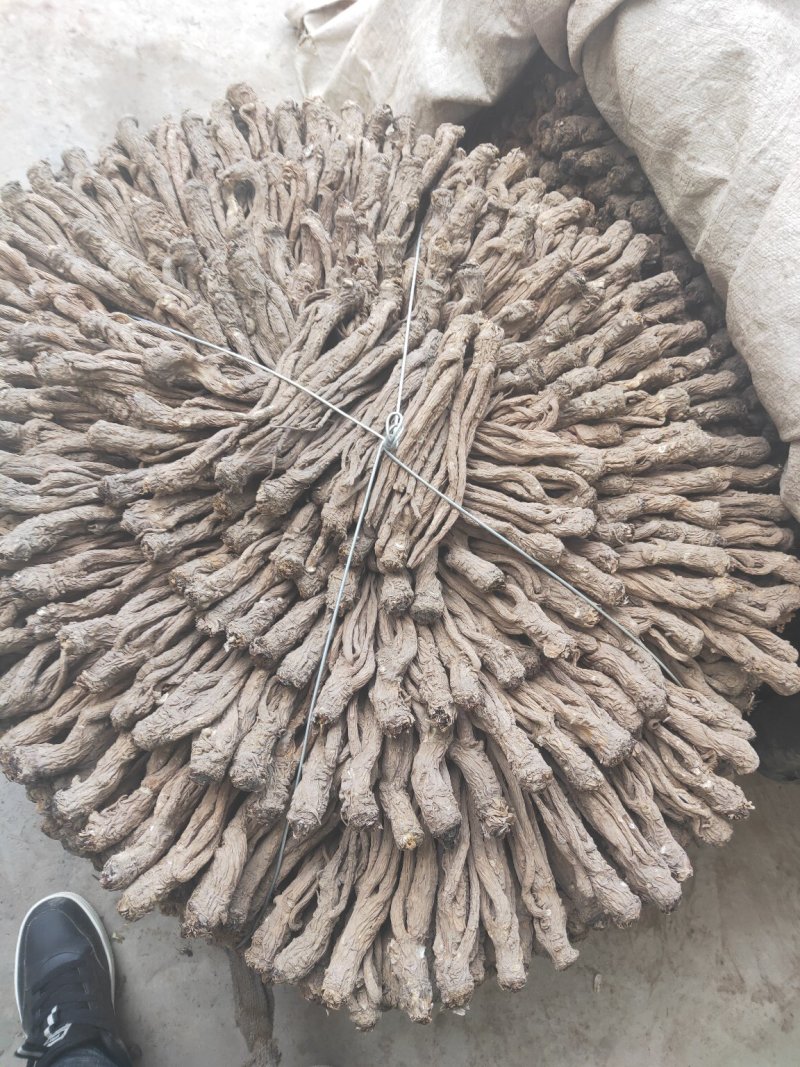 当归岷县产地直供去毛尾精选优质成品当归下单即可发货