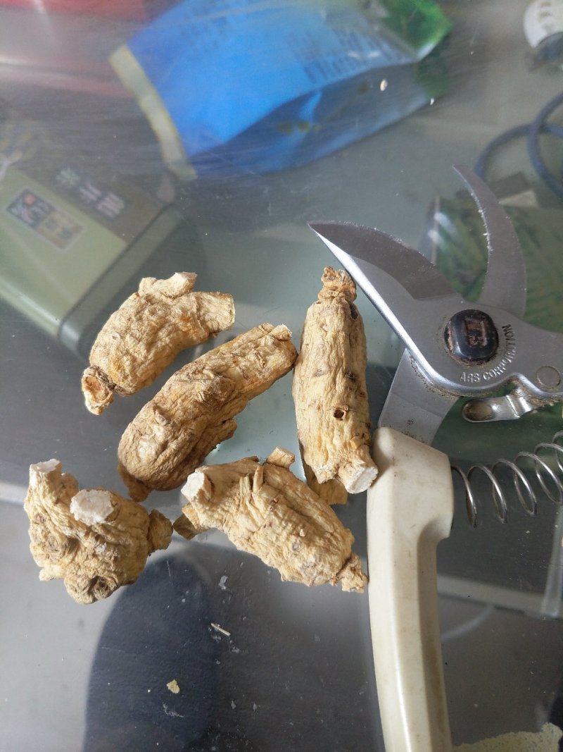 【西洋参软支】长白山西洋参低残软支大量有货/