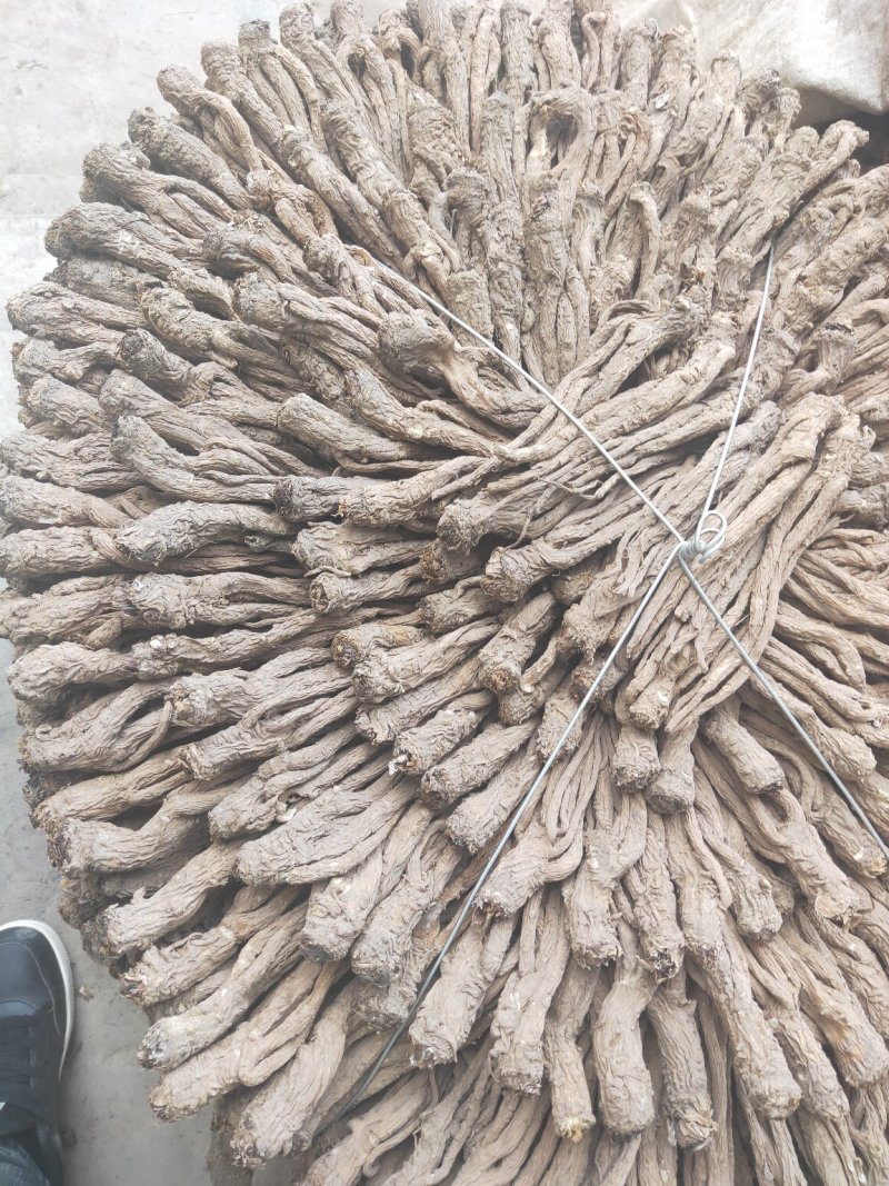 当归岷县产地直供去毛尾精选优质成品当归下单即可发货
