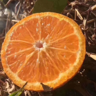 黄果干