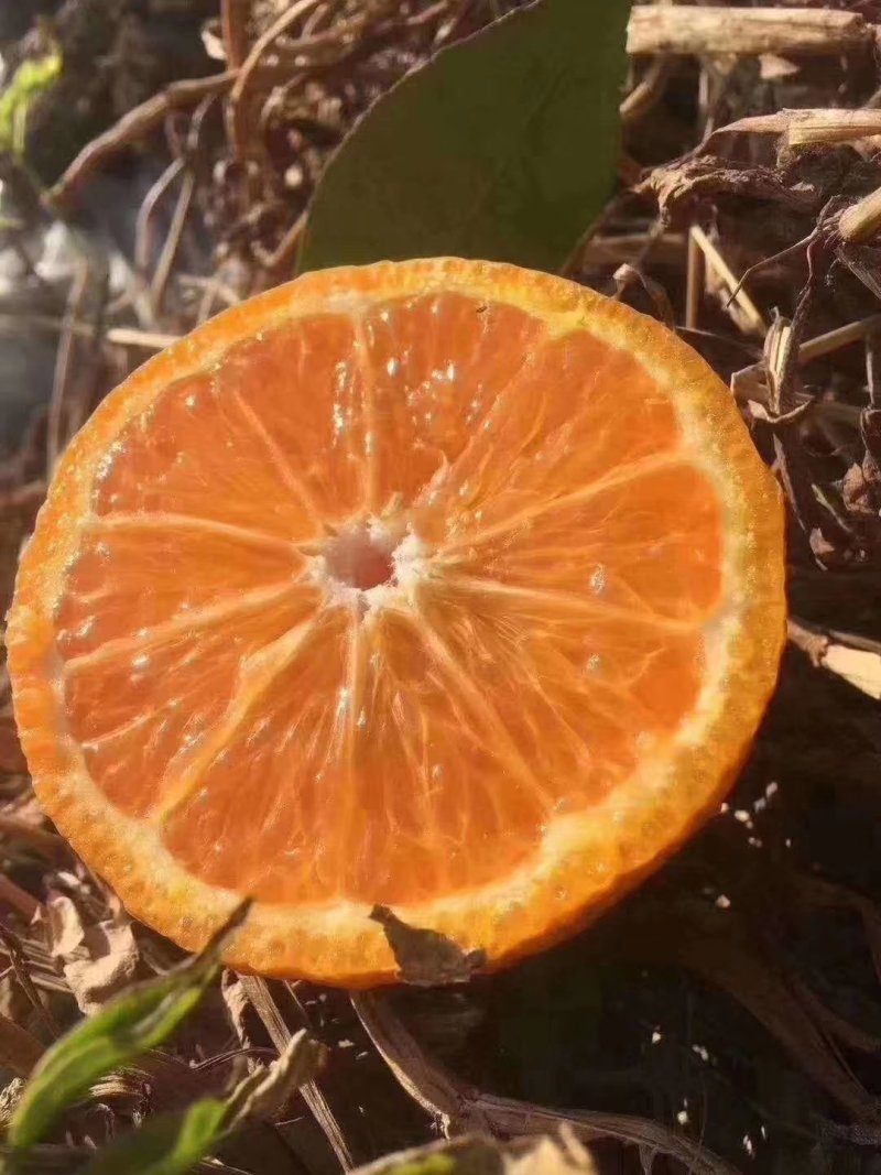黄果干
