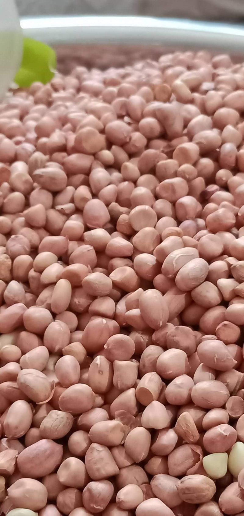 花生种子，怡想品牌，纯手工剥米，质量有保障