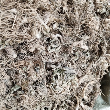 地胆草根，地胆头，新货中药材地胆头，产地一手货源，