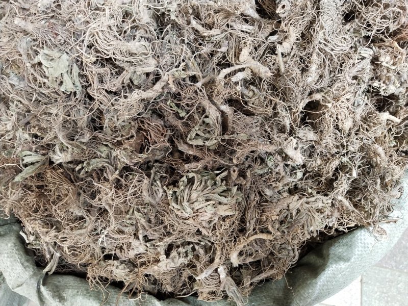 地胆草根，地胆头，新货中药材地胆头，产地一手货源，