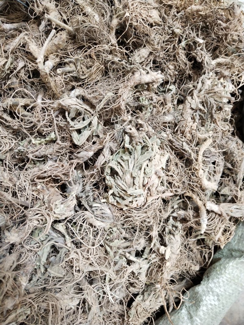 地胆草根，地胆头，新货中药材地胆头，产地一手货源，
