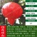 突尼斯石榴苗～软籽～黑籽～无籽～硬籽～品种保证～死苗包赔