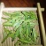 2020精品龙井