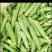 长寿仁碗豆，大量供应，