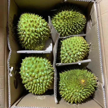 云南世汇果缘进出扣有限公司