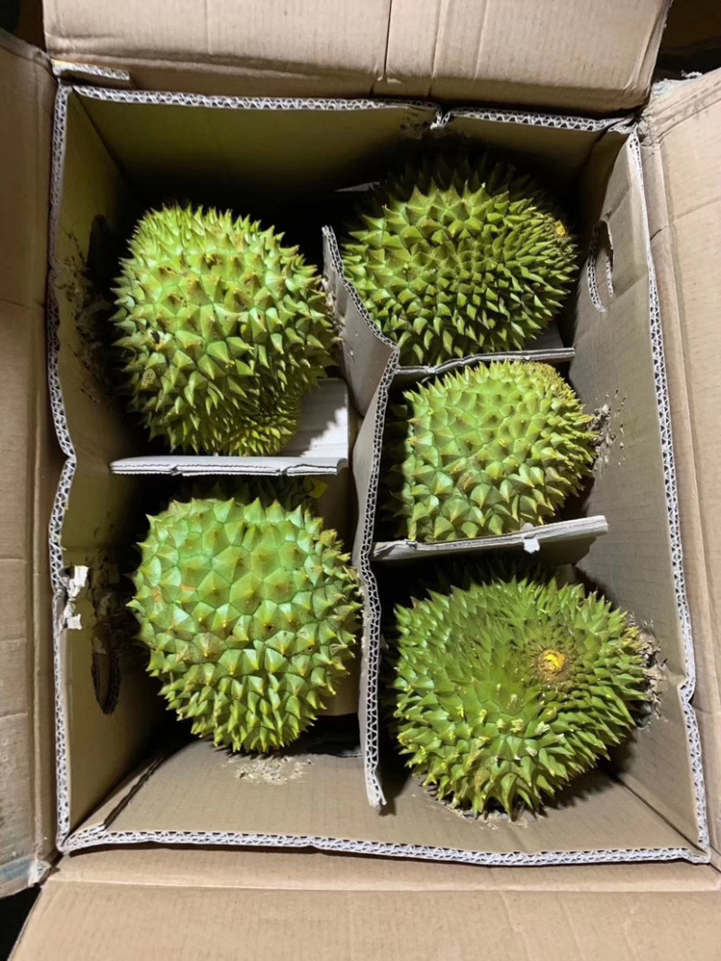 云南世汇果缘进出扣有限公司