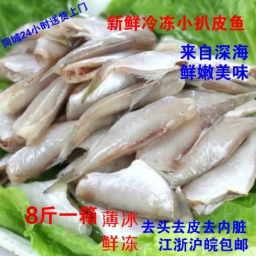 冷冻扒皮鱼小马面鱼剥皮鱼小耗儿鱼毛重包冰8斤/箱包邮