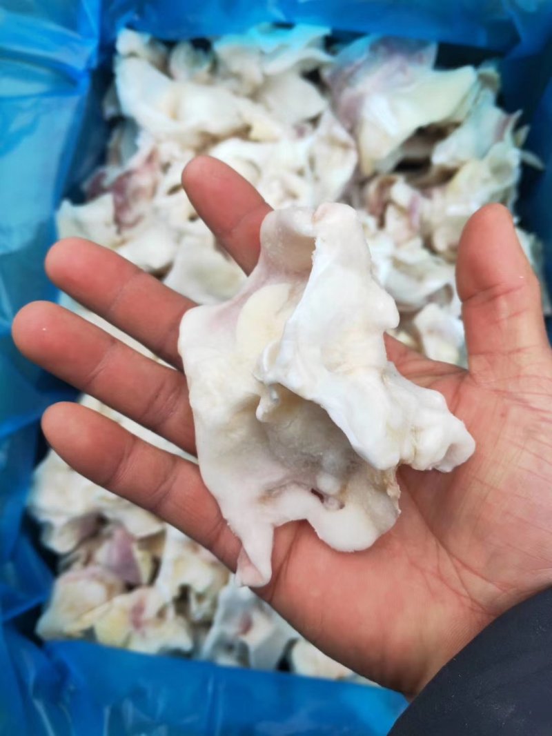 鱿鱼脖子新鲜冷冻海鲜水产鲜活鱿鱼冰冻铁板烧烤火锅鱿鱼脖