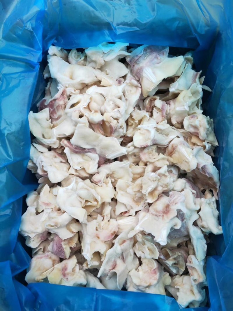鱿鱼脖子新鲜冷冻海鲜水产鲜活鱿鱼冰冻铁板烧烤火锅鱿鱼脖