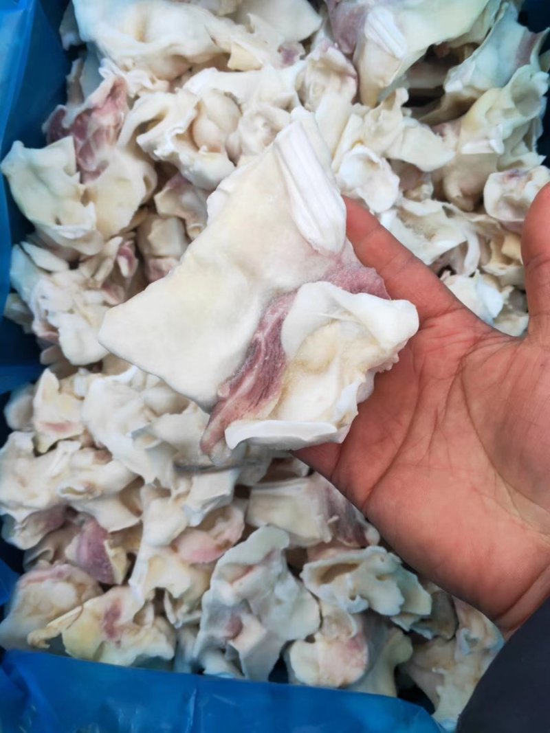 鱿鱼脖子新鲜冷冻海鲜水产鲜活鱿鱼冰冻铁板烧烤火锅鱿鱼脖