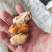 海虹肉淡菜海虹淡菜贻贝青口贝海虹肉壳菜海鲜