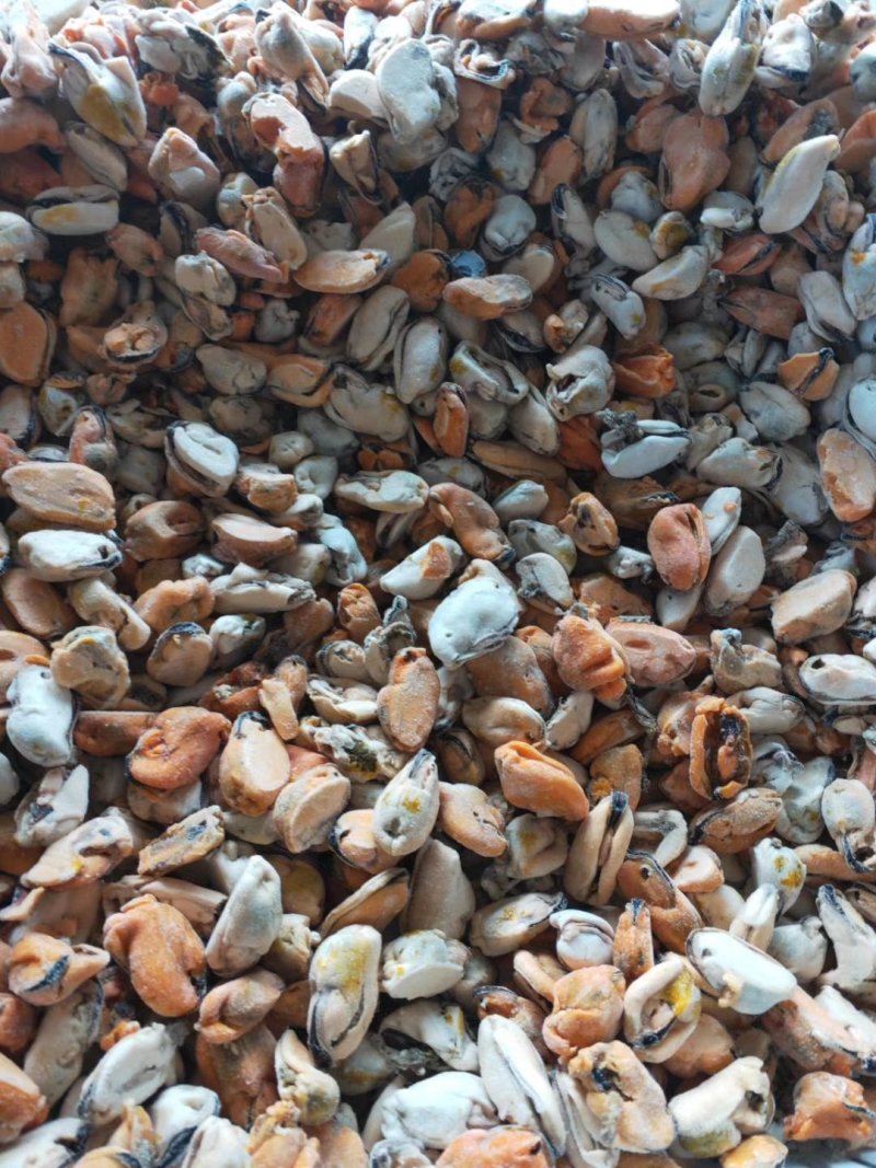海虹肉淡菜海虹淡菜贻贝青口贝海虹肉壳菜海鲜