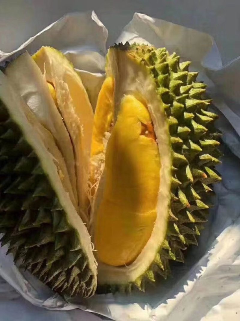 泰国榴莲，甲仑、托曼尼