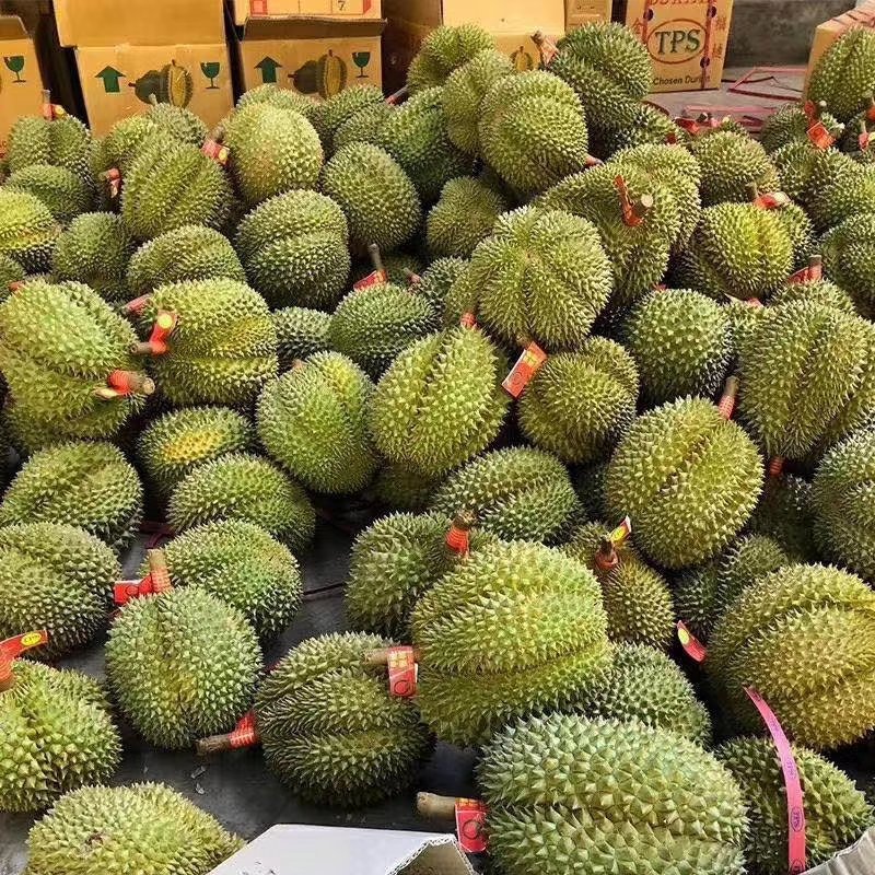 泰国榴莲，甲仑、托曼尼