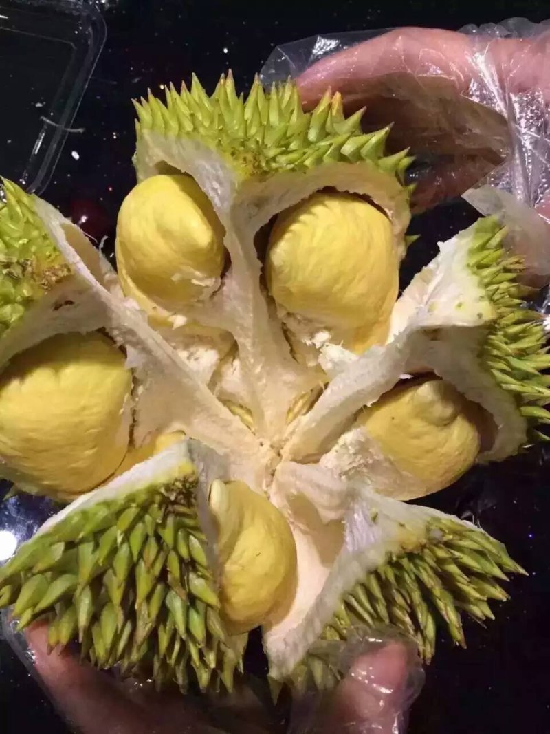 泰国榴莲，甲仑、托曼尼