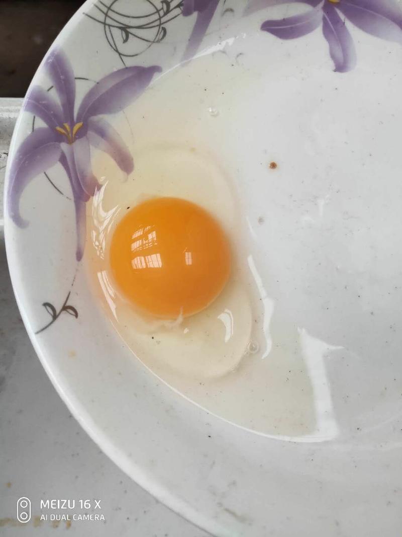 精品土鸡蛋正宗土鸡蛋新杨黑粉八双色增香