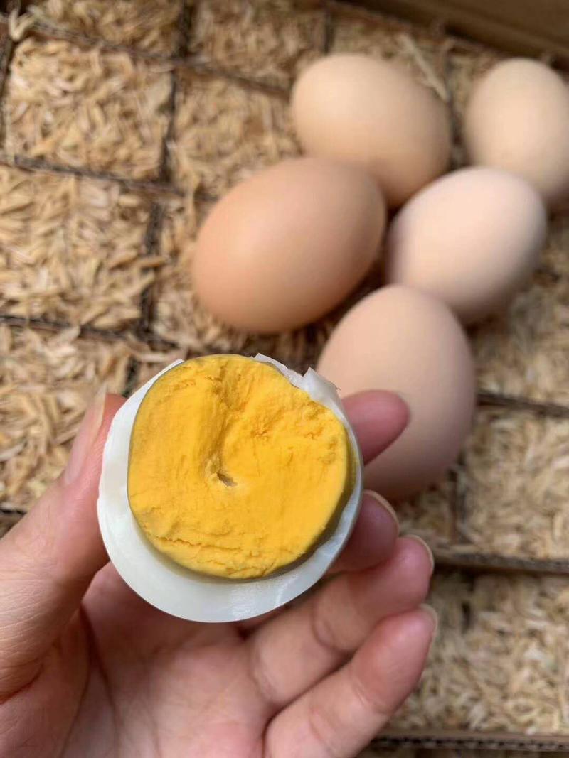 精品土鸡蛋正宗土鸡蛋新杨黑粉八双色增香