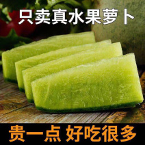 ［诚信企业］水果萝卜生吃脆甜沙窝萝卜新鲜蔬菜脆甜潍坊