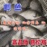 鲫鱼成品鲫鱼送货上门〕规格多选(品质保障)