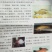 乌鱼苗，大量供应，抗病毒生长快，贵州云南送货上门