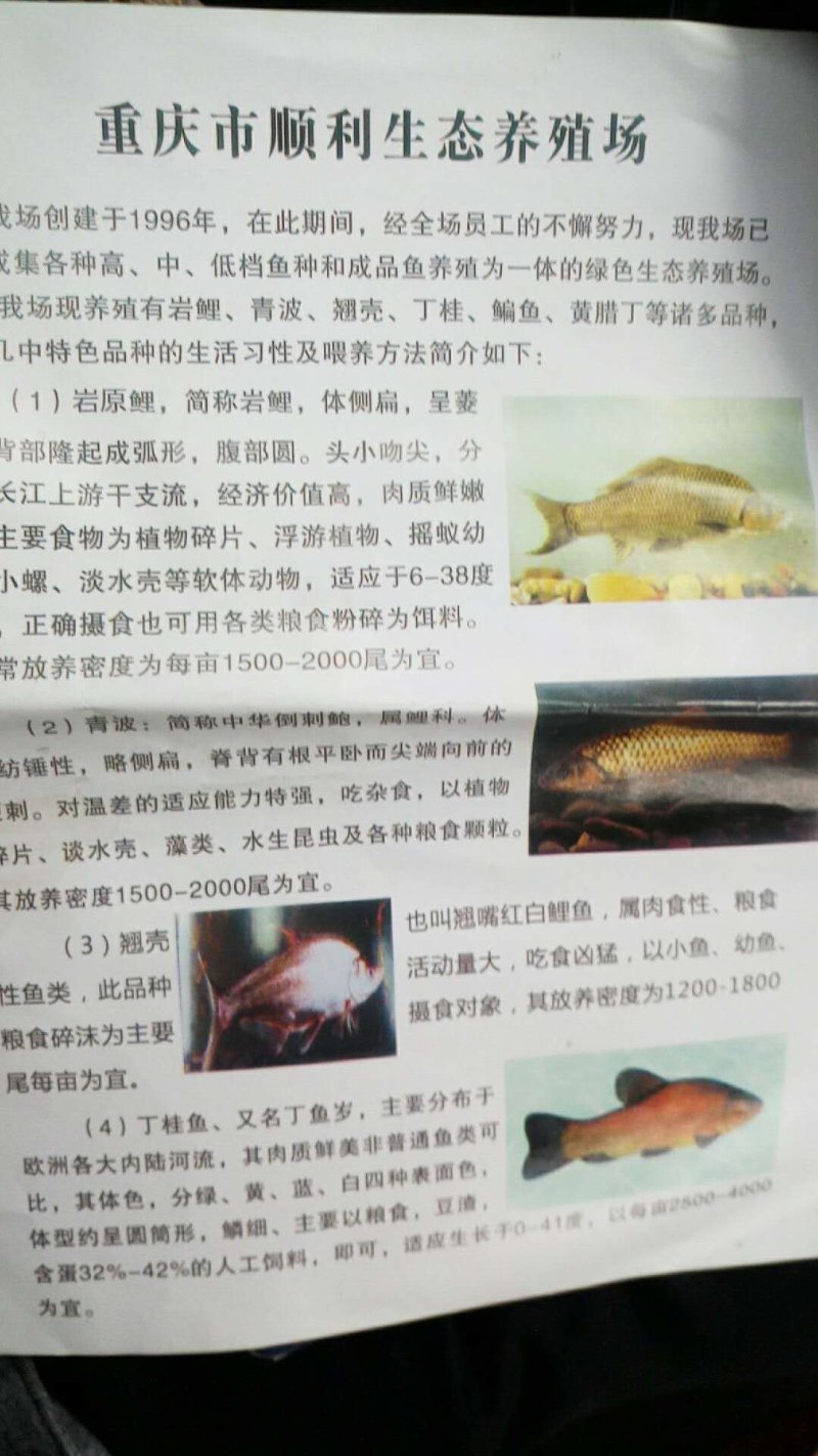 乌鱼苗，大量供应，抗病毒生长快，贵州云南送货上门