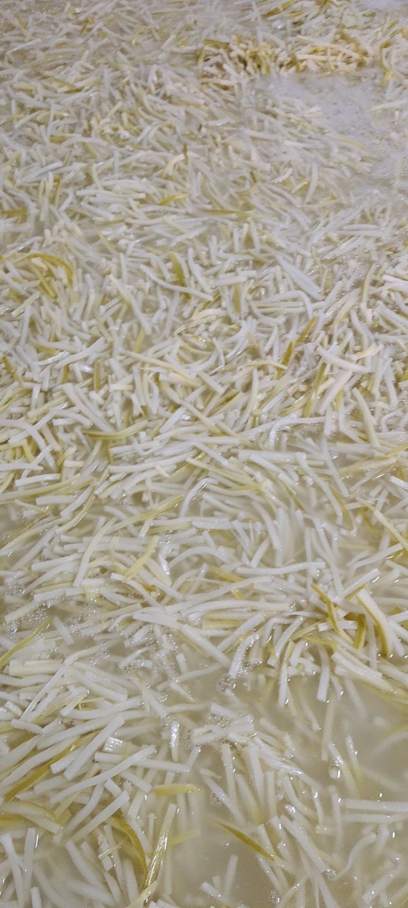 广东省英德市西牛镇麻竹笋，酸笋，盐笋，笋尾