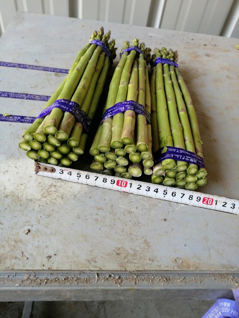 芦笋新鲜芦笋长兴芦笋精品芦笋大芦笋绿芦笋