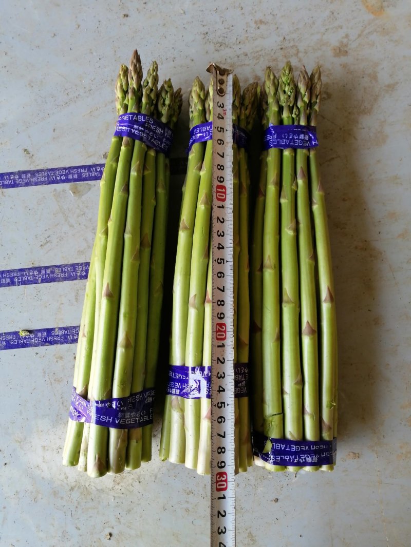芦笋新鲜芦笋长兴芦笋精品芦笋大芦笋绿芦笋