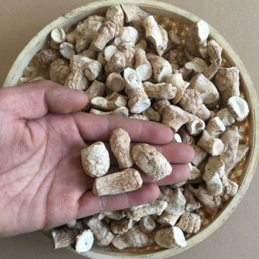 新货香菇脚丁香菇腿双剪无杂质无黑头干香菇根批发